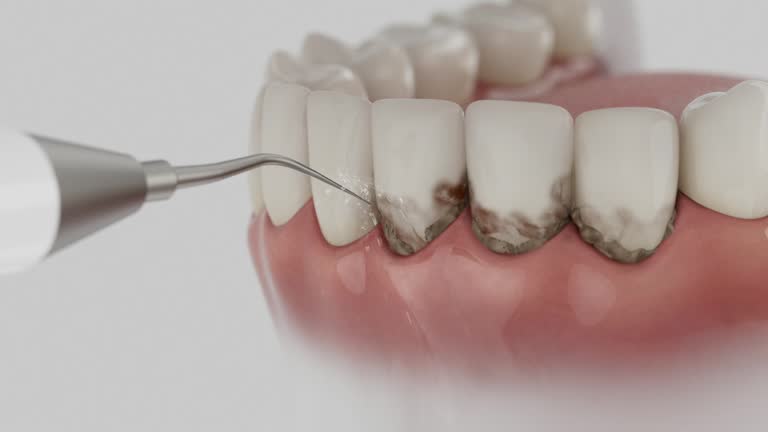 Reliable Dental contractor in Grace, ID by Dentist Open Now